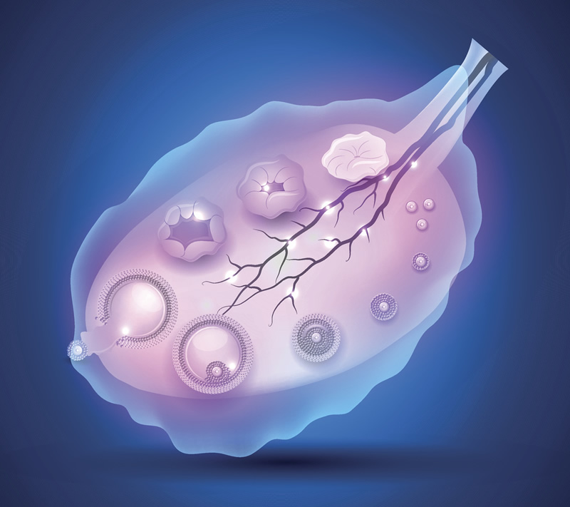 珠海做第三代试管比较厉害的医院盘点(珠海三代试管那里做的好)